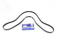 Genuine Land Rover Freelander 1 2.0L TD4 Alternator/Power Steering/Water Pump Belt PQS101300L