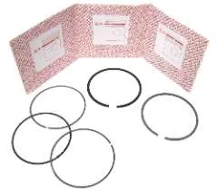 Genuine Land Rover Range Rover L322, Range Rover Sport & Discovery 3 5.0L V8 Supercharged Piston Ring Set Standard x8 4668056